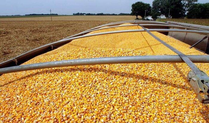 آغاز پرداخت تسهیلات تامین نهاده‌های مورد نیاز دامداران و مرغداران استان همدان