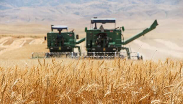 ضرورت پرداخت به موقع مطالبات کشاورزان فامنینی