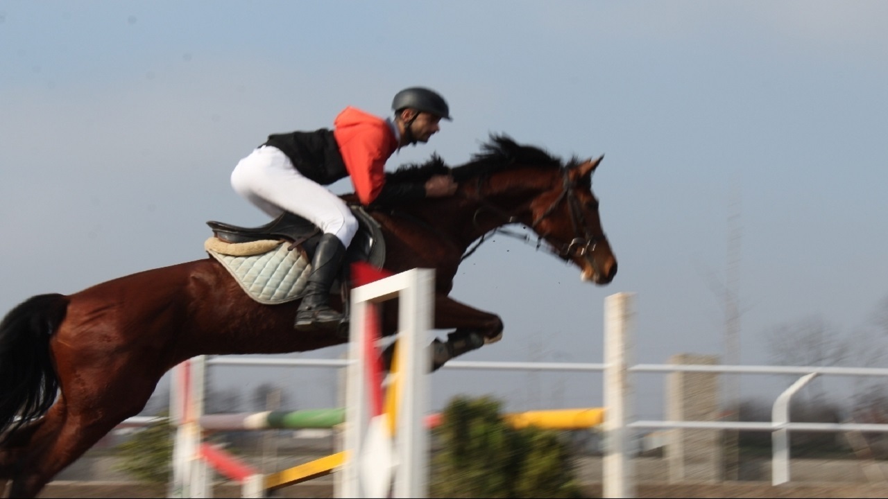 معرفی سوارکاران برتر همدان