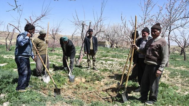 چتر حمایتی بیمه اجتماعی کشاورزان استان همدان گسترده‌تر می‌شود