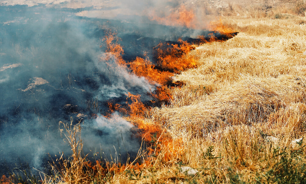 ایجاد۱۰۰ هکتار آتش بُر در مراتع استان همدان