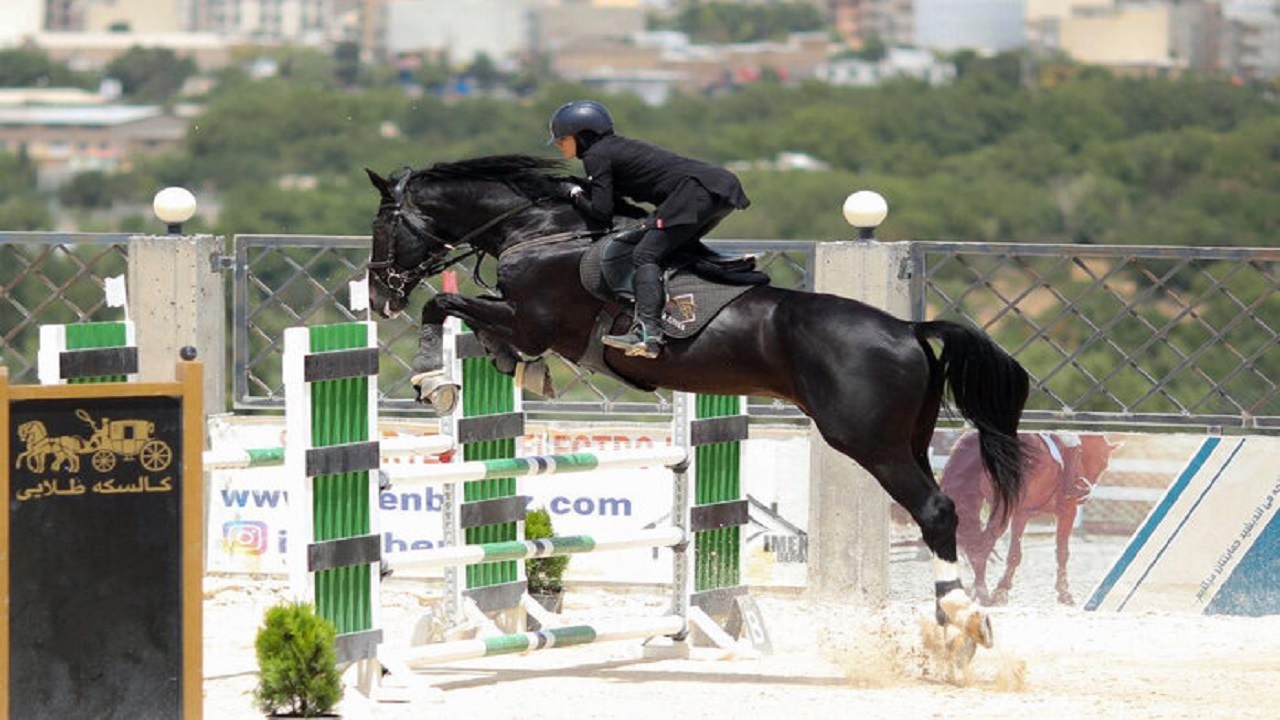 درخشش سوارکاران همدان در مسابقات جام سهروردی