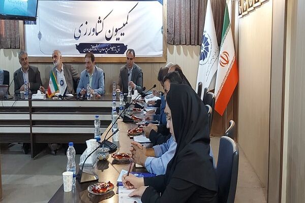 گلایه دامداران از کیفیت پایین خوراک دام| جهادکشاورزی کیفیت کالاهای وارداتی را بررسی کند