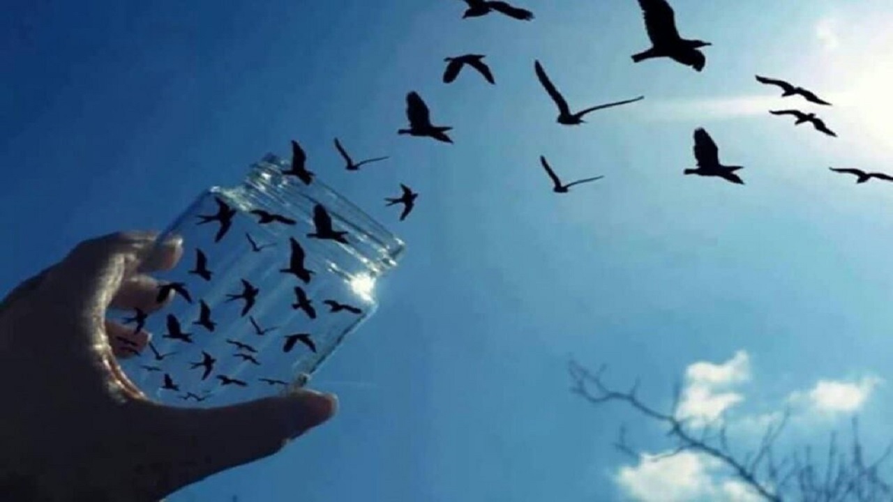 ۲۳۸ زندانی جرائم غیر عمد در همدان نیازمند کمک خیران