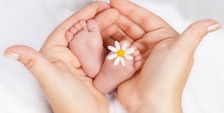 پرداخت ۷۰۰ میلیون تومان برای درمان ناباروری زوجین در همدان