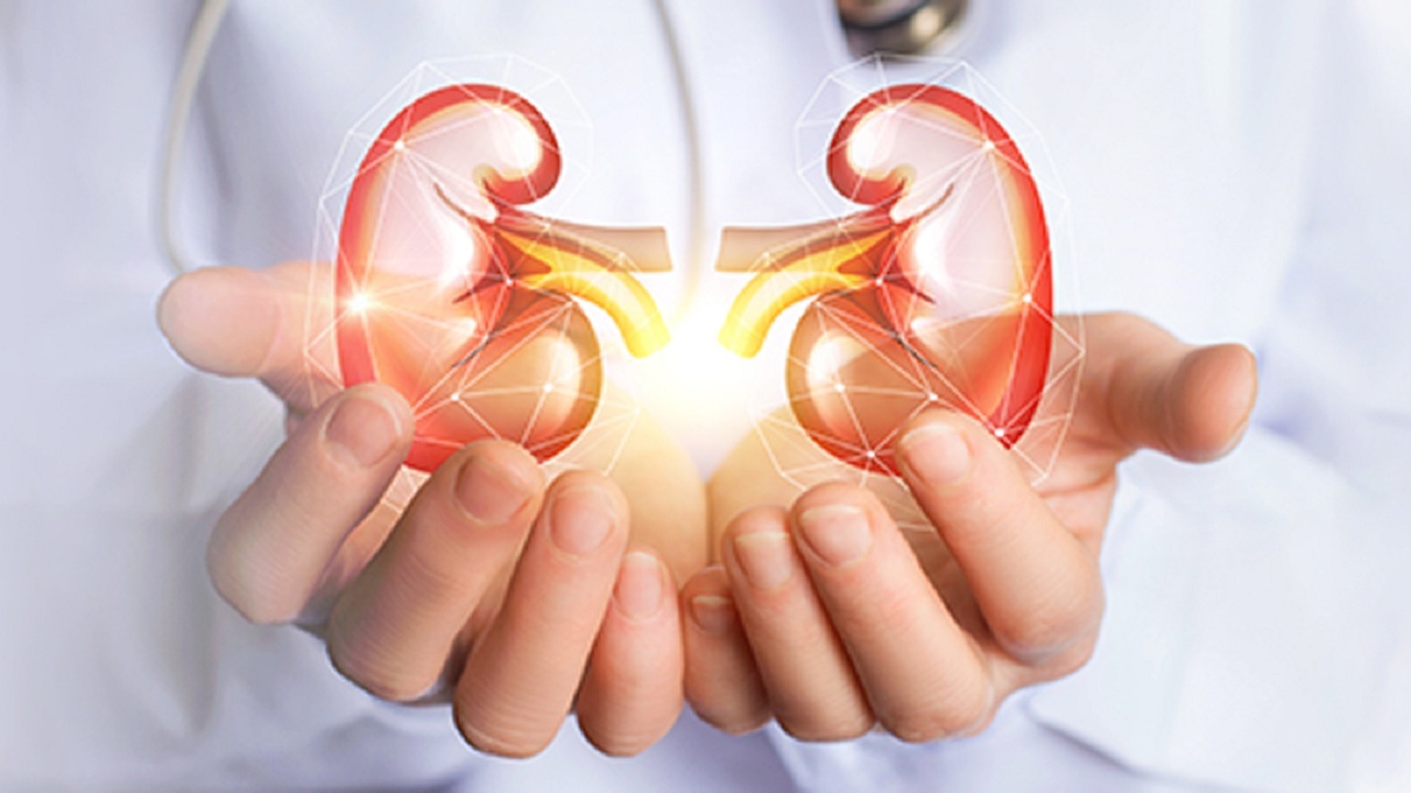 افزوده شدن  ۱۸۵ بیمار دیالیزی به جمع بیماران کلیوی استان  همدان