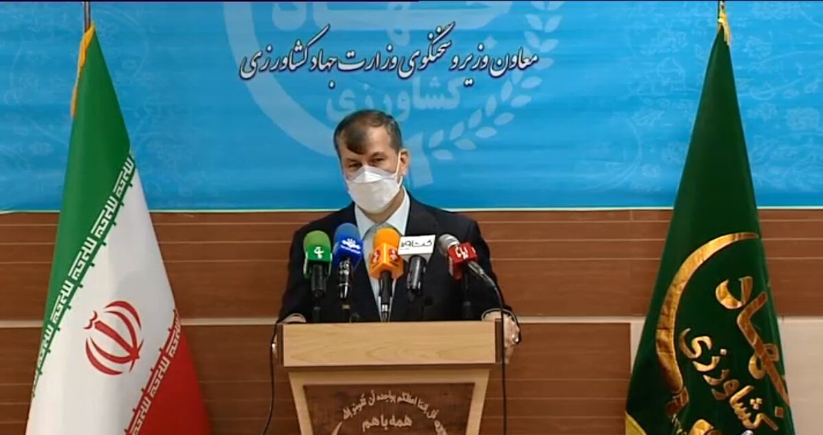 بخش کشاورزی ۶ میلیارد دلار درآمد ارزی را محقق کرد